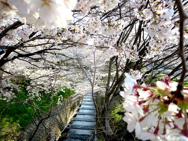 蛇堀川