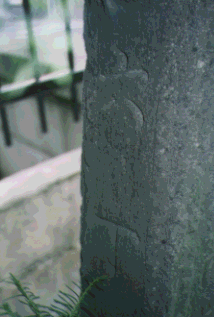 Zʐ^