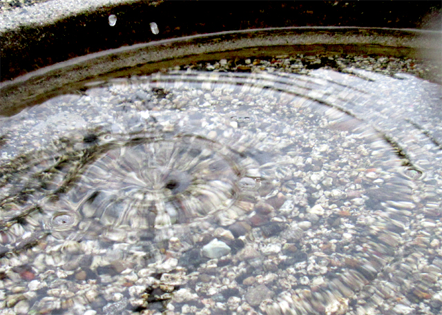 水紋