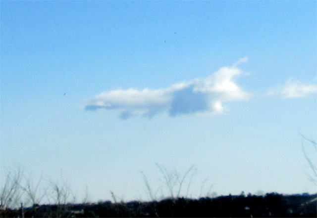 雲