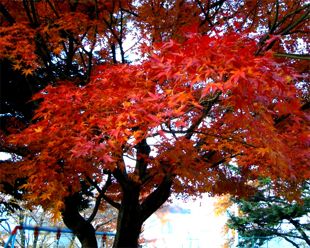 平和公園