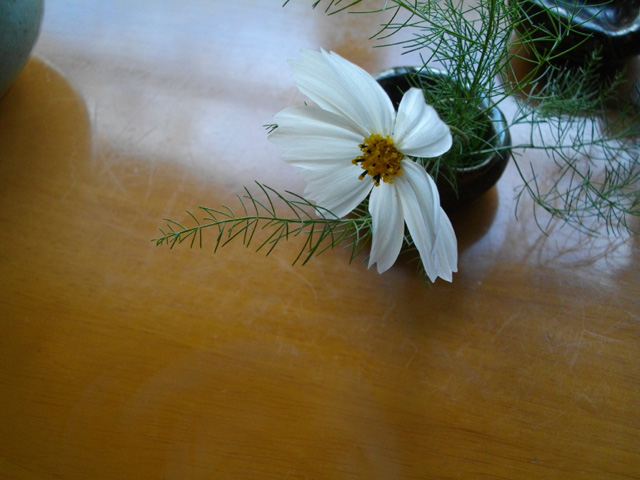 花瓶