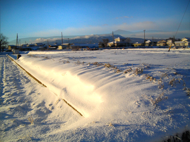 雪の朝