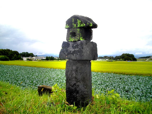 佃水神の近くにある