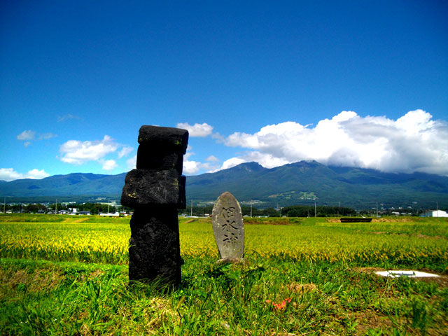 小田井