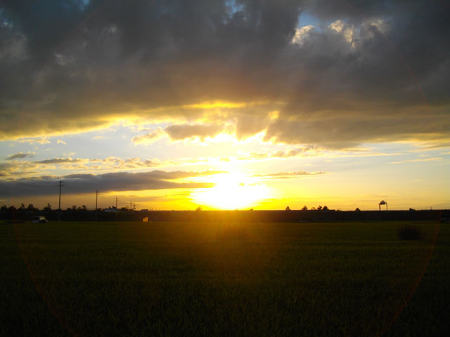 夕陽