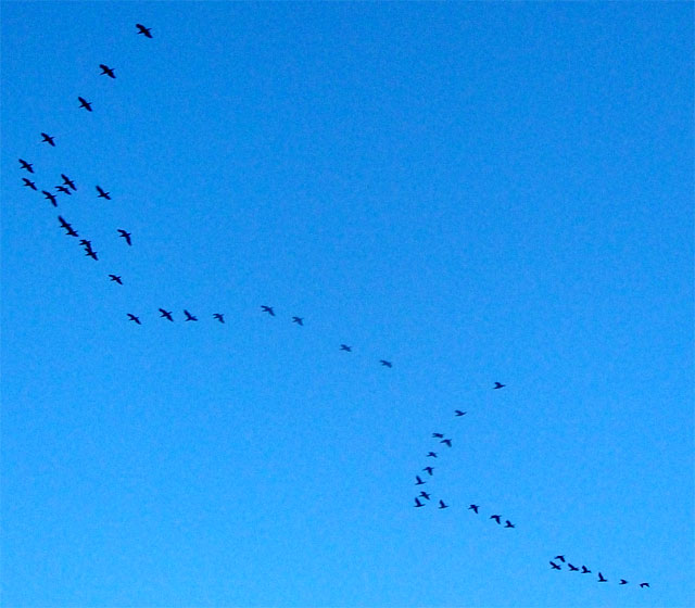大空