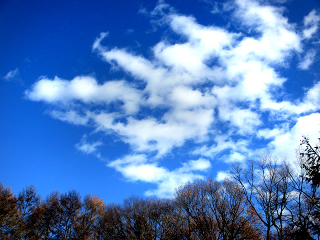 雲