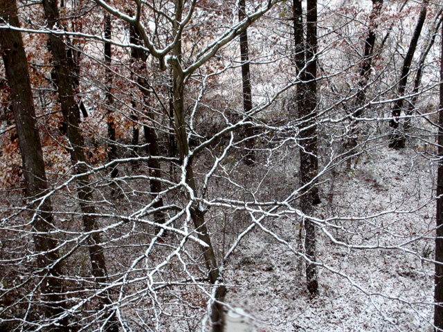 雪