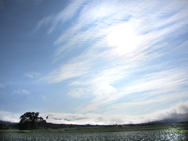 雲