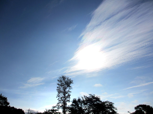 雲