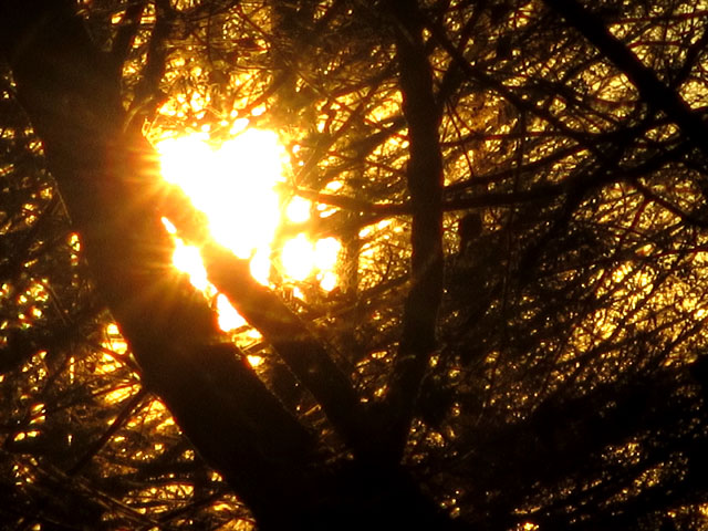 夕日