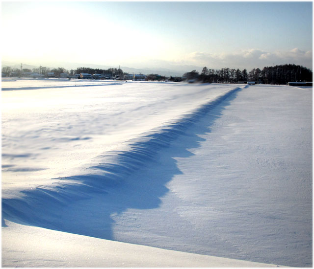 雪の朝