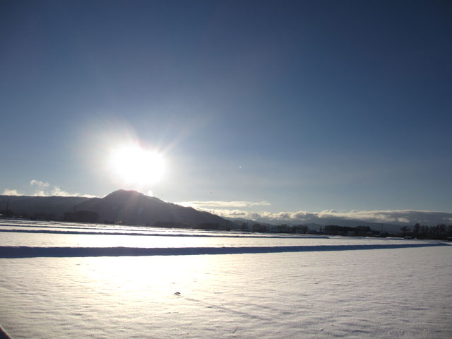 太陽と雪原