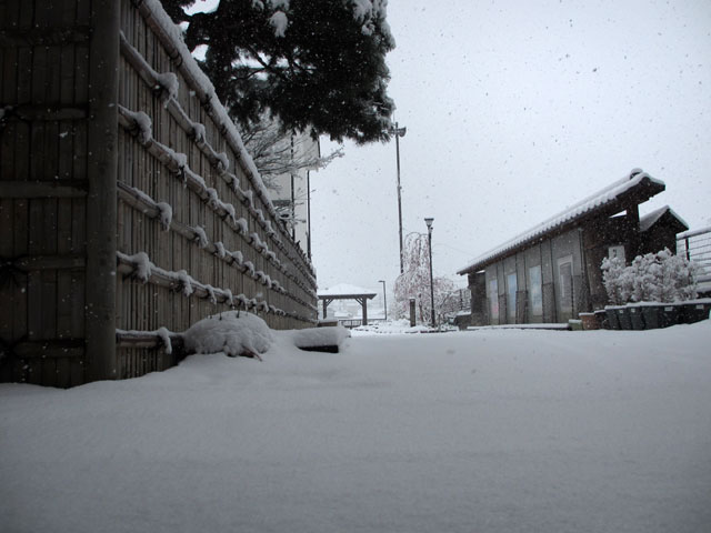 雪