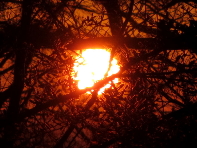 夕日