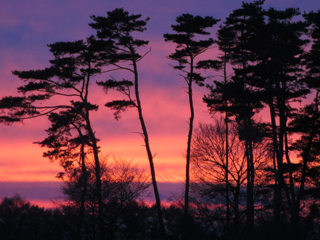 夕日
