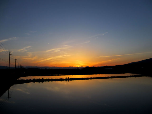 夕日