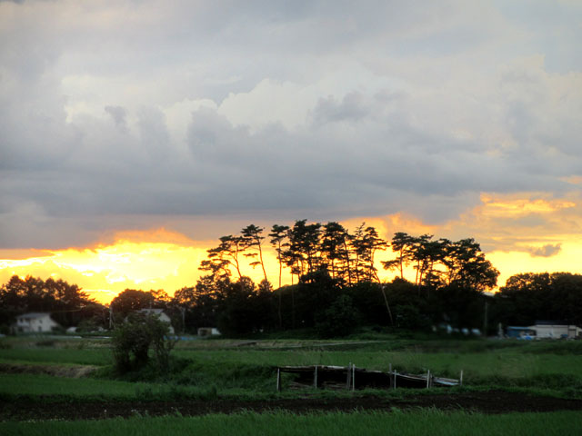 夕暮れ
