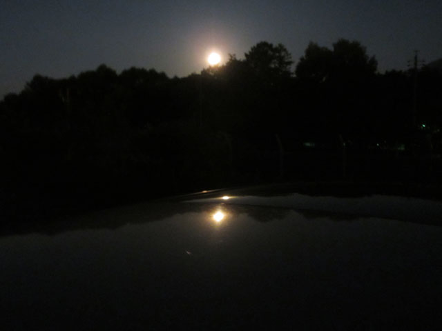 十六夜