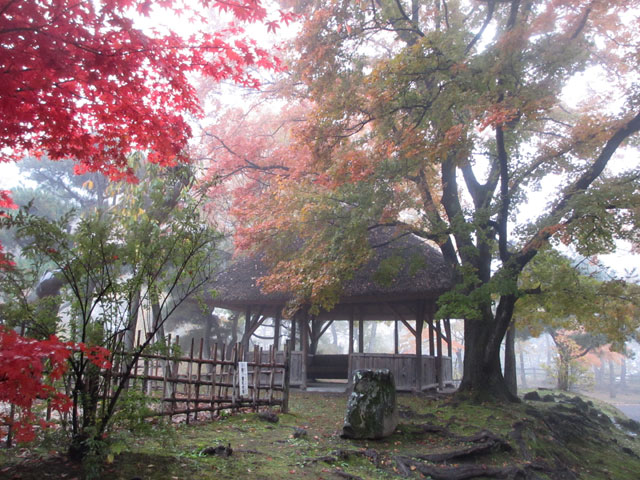 懐古園 紅葉
