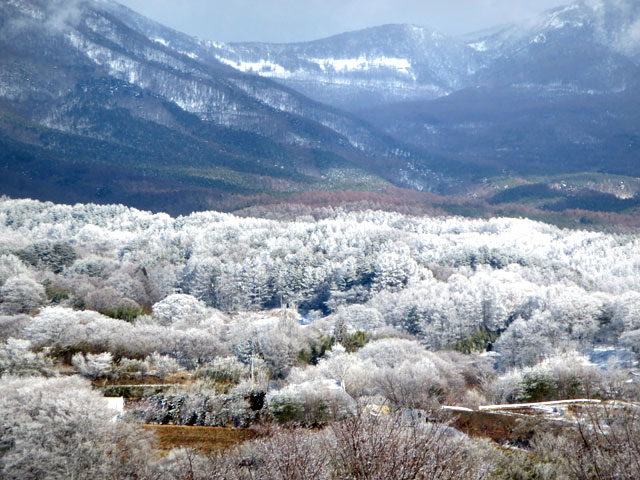 雪