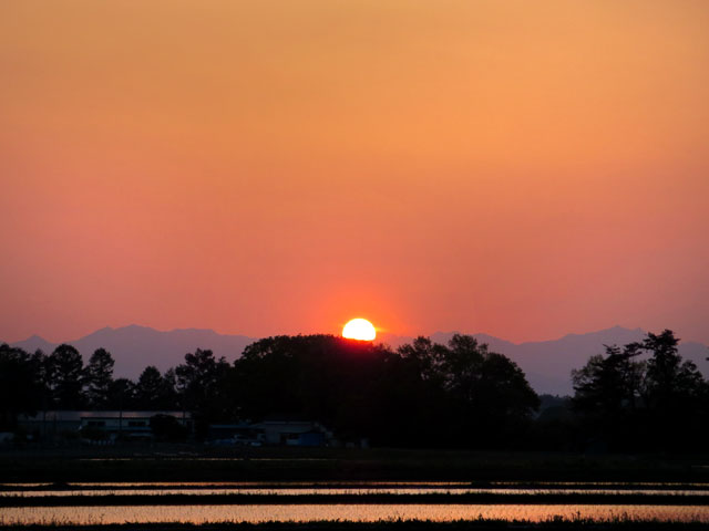 夕日