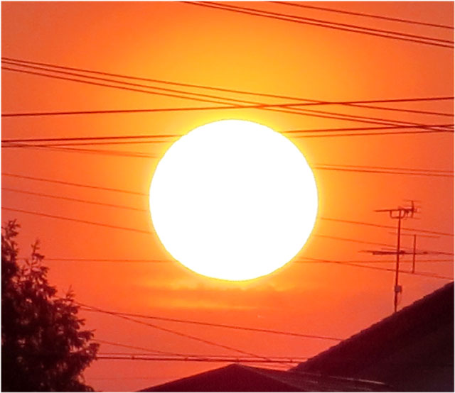 太陽