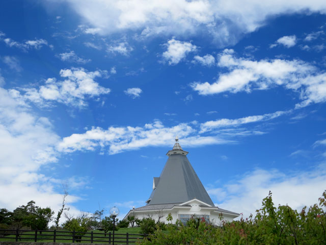 雲