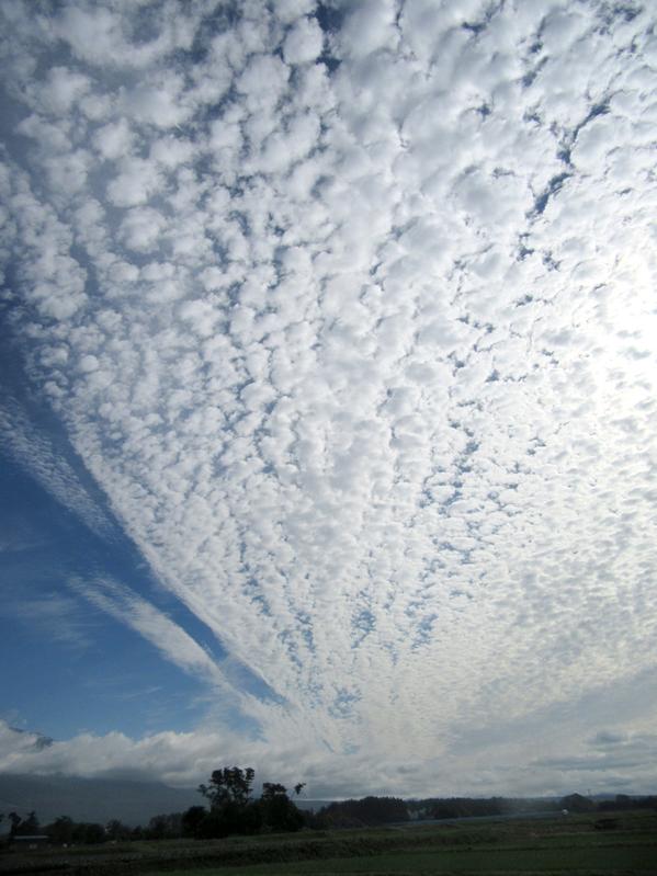 雲